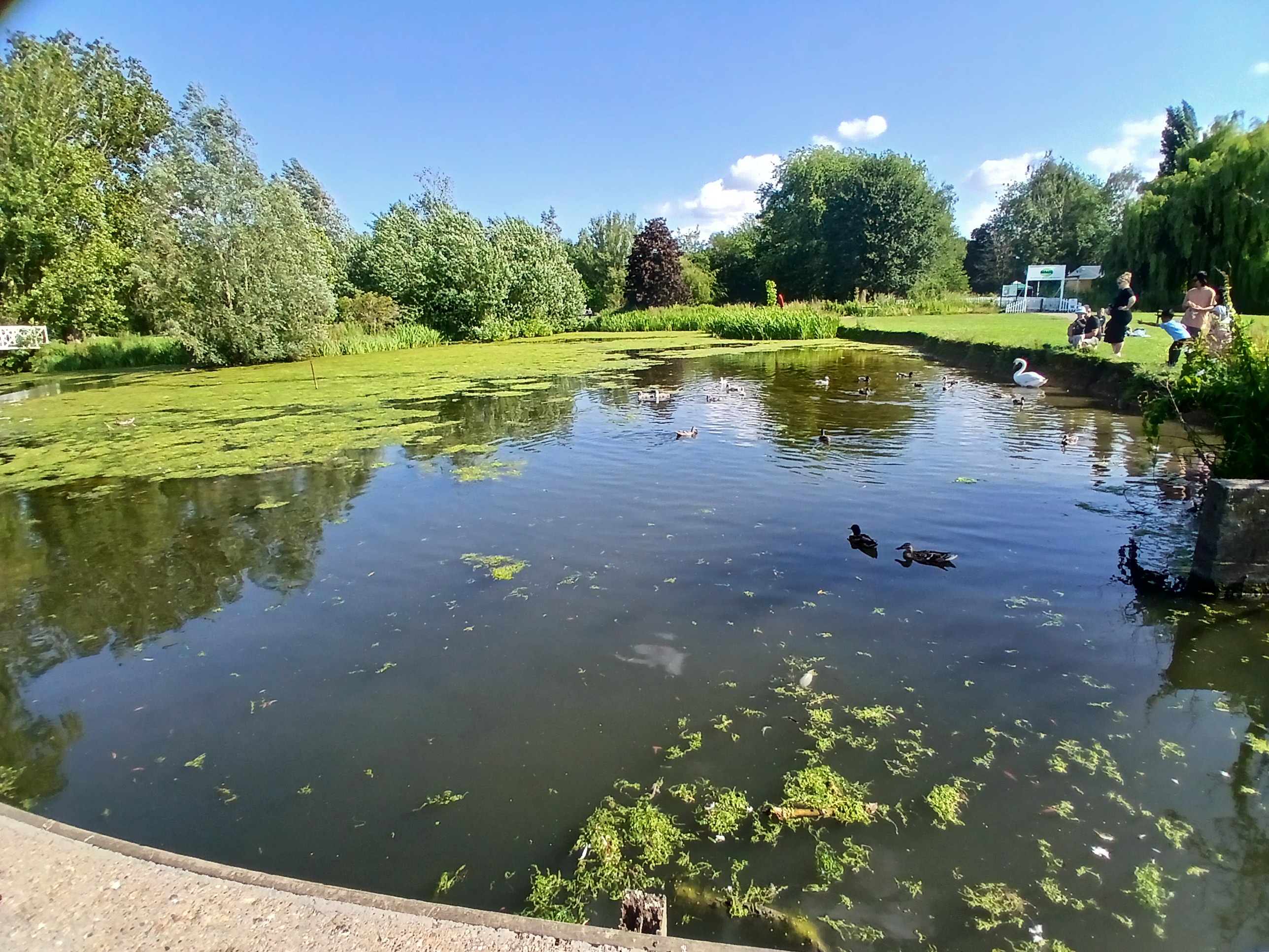 🚂 Riverside Miniature Train - St Neots at St Neots Riverside Car Park, PE19 7HD | Automotive, Baby/Toddlers, Family, Fun, Half Term, Kids, Outdoor, Pay On Entry, Play Parks, Recurring, Walks, Water | Suitable for: Accessible, Children, Dog Friendly, Family, Parking Onsite 🚂 Riverside Miniature Train - St Neots - Event Image 6 August 06, 2025 12:00 PM