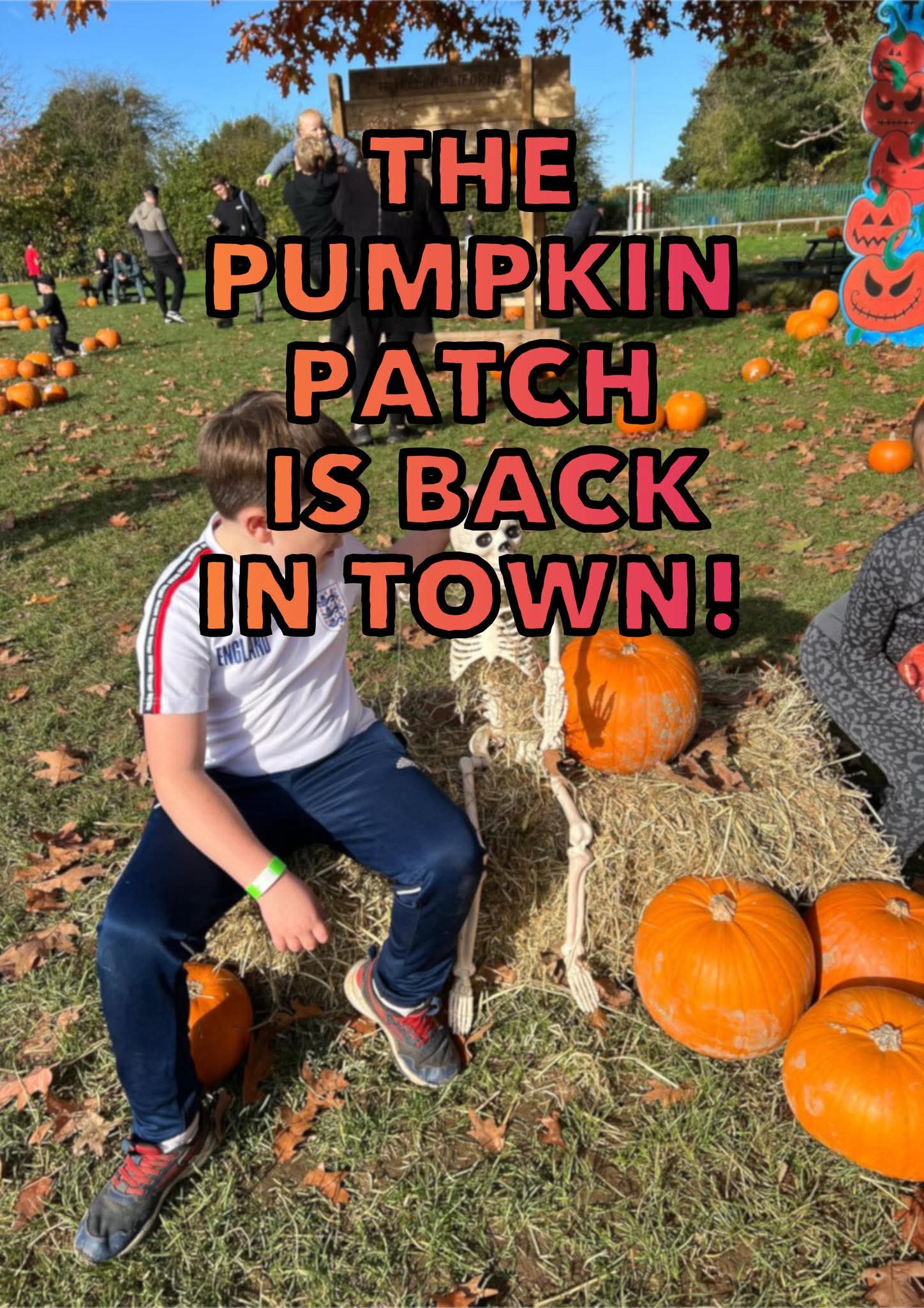 🎃 Pumpkins in the Park 2025 - Luton at Stockwood Park Rugby Club, LU1 3RN | Activities, Advance Booking, Creative, Family, Food/Drink, Fun, Indoor, Kids, Outdoor, Half Term, Stalls | Suitable for: Family, Children, Free Parking, Parking Onsite, Toilets 🎃 Pumpkins in the Park 2025 - Luton - Event Image 2 October 26, 2025 10:00 AM