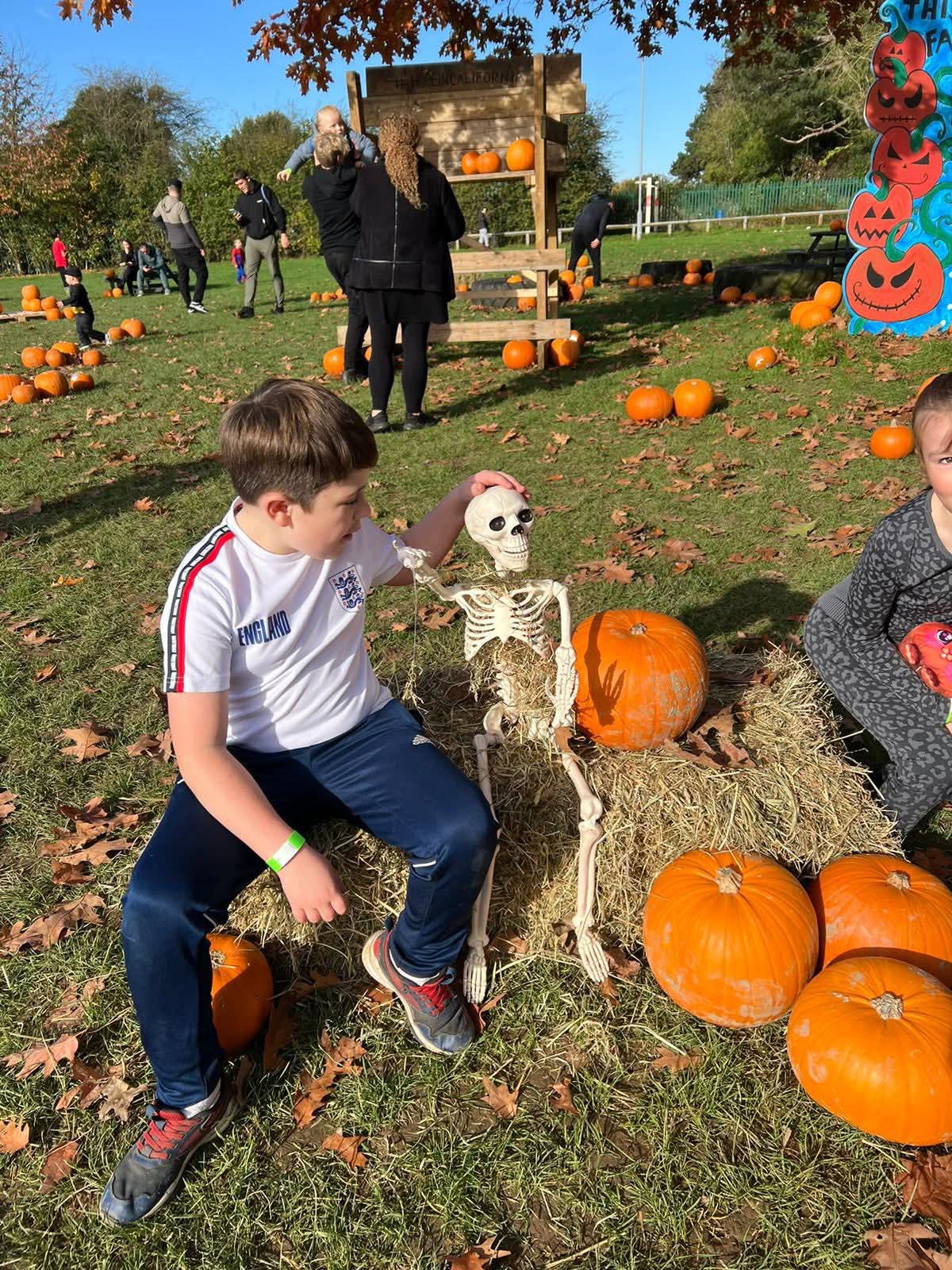 🎃 Pumpkins in the Park 2025 - Luton at Stockwood Park Rugby Club, LU1 3RN | Activities, Advance Booking, Creative, Family, Food/Drink, Fun, Indoor, Kids, Outdoor, Half Term, Stalls | Suitable for: Family, Children, Free Parking, Parking Onsite, Toilets 🎃 Pumpkins in the Park 2025 - Luton - Event Image 3 October 26, 2025 10:00 AM