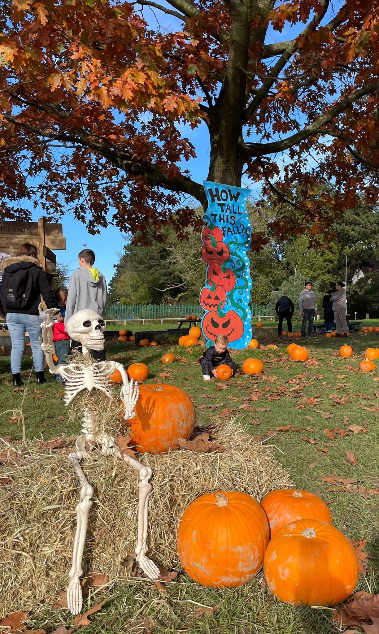 🎃 Pumpkins in the Park 2025 - Luton at Stockwood Park Rugby Club, LU1 3RN | Activities, Advance Booking, Creative, Family, Food/Drink, Fun, Indoor, Kids, Outdoor, Half Term, Stalls | Suitable for: Family, Children, Free Parking, Parking Onsite, Toilets 🎃 Pumpkins in the Park 2025 - Luton - Event Image 4 October 26, 2025 10:00 AM