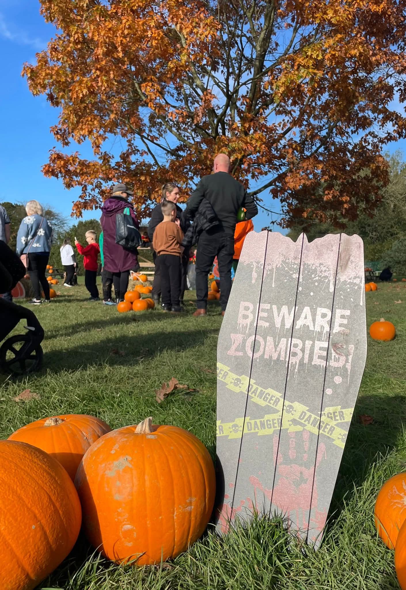 🎃 Pumpkins in the Park 2025 - Luton at Stockwood Park Rugby Club, LU1 3RN | Activities, Advance Booking, Creative, Family, Food/Drink, Fun, Indoor, Kids, Outdoor, Half Term, Stalls | Suitable for: Family, Children, Free Parking, Parking Onsite, Toilets 🎃 Pumpkins in the Park 2025 - Luton - Event Image 5 October 26, 2025 10:00 AM