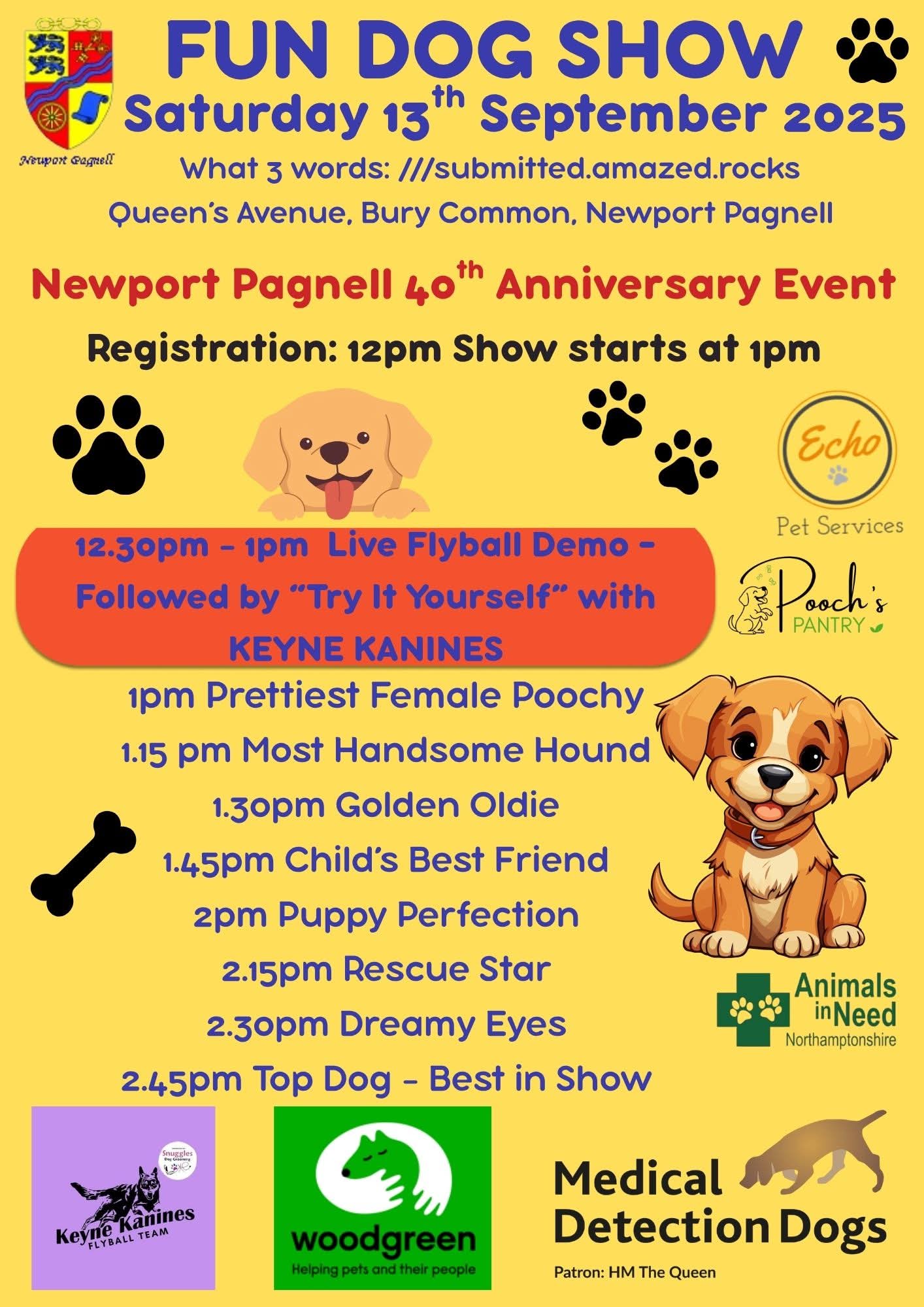 🎊 Newport Pagnell Town Council 40th Anniversary Event at Bury Avenue, Newport Pagnell, MK16 0ED | Activities, Adults, Craft Fair, Entertainment, Family, Food/Drink, Free Entry, Fun, Music, Nightlife, Outdoor, Stalls, Kids | Suitable for: Dog Friendly, Family 🎊 Newport Pagnell Town Council 40th Anniversary Event - Event Image 4 September 13, 2025 12:00 PM