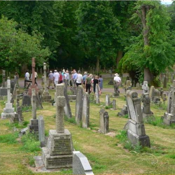 🌳 Guided Tree Walk (Free) - The Chapel Foster HIll Road, Bedford - Event Image 2 September 21, 2025 02:00 PM