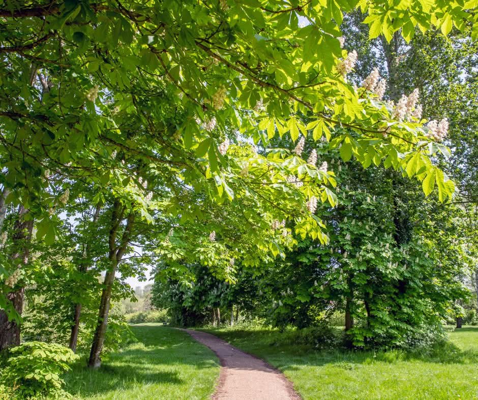 ♿️ ♿️ Wheelchair Ramble - Tattenhoe, Milton Keynes - Event Image 2 October 04, 2025 01:00 PM