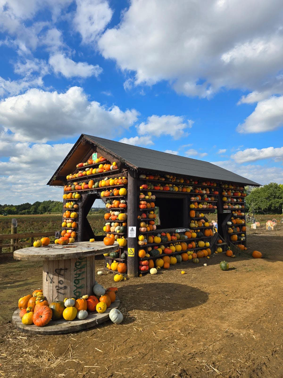 🎃 Secret Pumpkin PYO 2025 - The Secret Farm,  Moggerhanger  - Event Image 2 October 26, 2025 10:00 AM