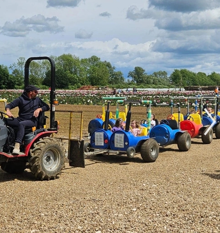 🎃 Secret Pumpkin PYO 2025 - The Secret Farm,  Moggerhanger  - Event Image 5 October 26, 2025 10:00 AM