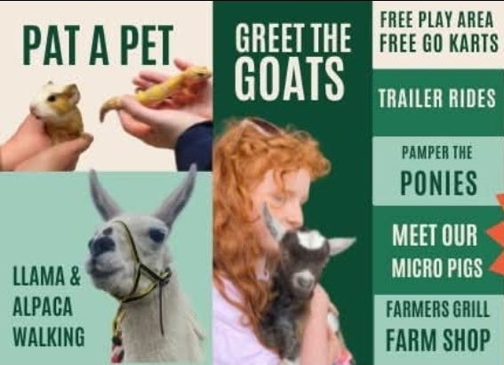 🐷 Free Entry Farm - Knotts of Tempsford at Knotts of Tempsford
Tingeys Farm, Station Road,
Tempsford SG19 2AY | Activities, Animals, Education, Family, Food/Drink, Free Entry, Fun, Kids, Outdoor, Play Area | Suitable for: Children, Family, Free Parking, Parking Onsite, Toilets 🐷 Free Entry Farm - Knotts of Tempsford - Event Image 3 October 16, 2025 09:00 AM