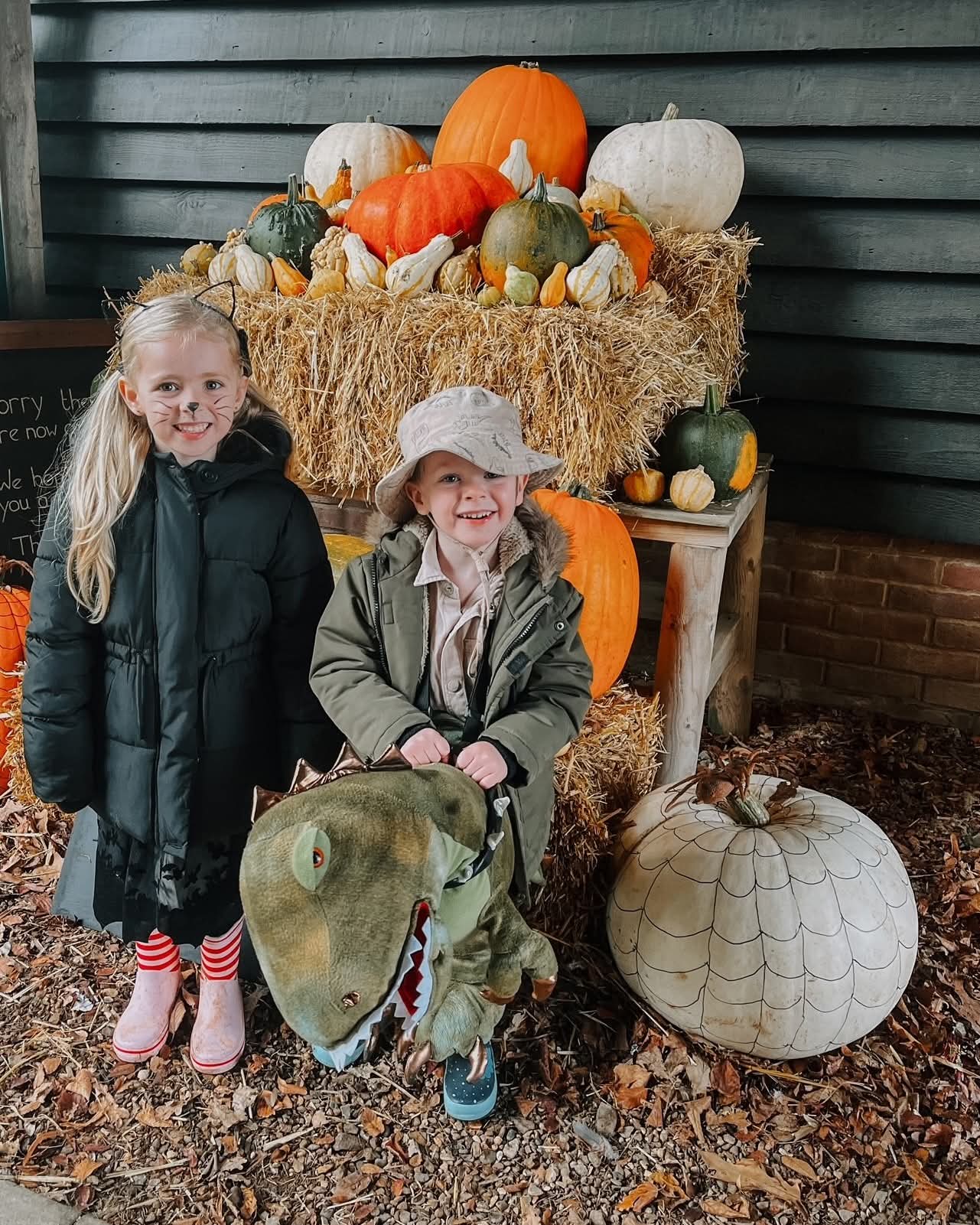 🧙♀️ Halloween Adventure 2025 - Knebworth House at Knebworth House, Knebworth Park, Stevenage SG1 2AX | Activities, Advance Booking, Baby/Toddlers, Creative, Family, Fun, Half Term, Kids, Outdoor, Seasonal, Ticket Event | Suitable for: Children, Family, Free Parking, Parking Onsite, Toilets 🧙♀️ Halloween Adventure 2025 - Knebworth House - Event Image 7 October 29, 2025 09:30 AM