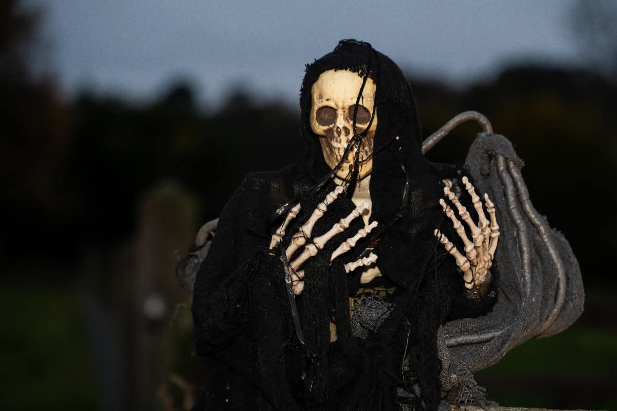 👻 Halloween Spectacular 2025 - Chiltern Open Air Museum at Chiltern Open Air Museum, Newland Park, Gorelands Lane, Chalfont St Giles, Buckinghamshire, HP8 4AB | Activities, Advance Booking, Entertainment, Food/Drink, History & Heritage, Indoor, Nightlife, Outdoor, Teens, Ticket Event, Attractions, Baby/Toddlers, Family | Suitable for: Dog Friendly, Family, Free Parking, Parking Onsite, Toilets 👻 Halloween Spectacular 2025 - Chiltern Open Air Museum - Event Image 9 October 31, 2025 05:00 PM