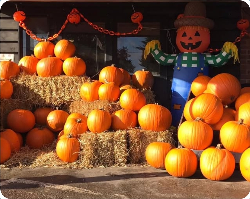 🧙‍♀️ Halloween at Woodside Animal Farm 2025 - Luton - Event Image 4 October 27, 2025 10:00 AM