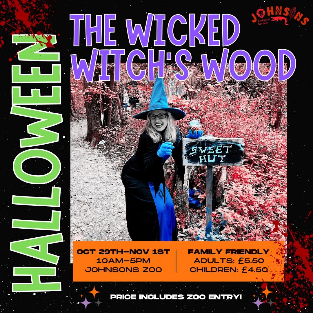 🐊 The Wicked Wood 2025 (includes zoo entry) - Johnsons Of Old Hurst, Huntingdon  - Event Image 2 November 01, 2025 10:00 AM