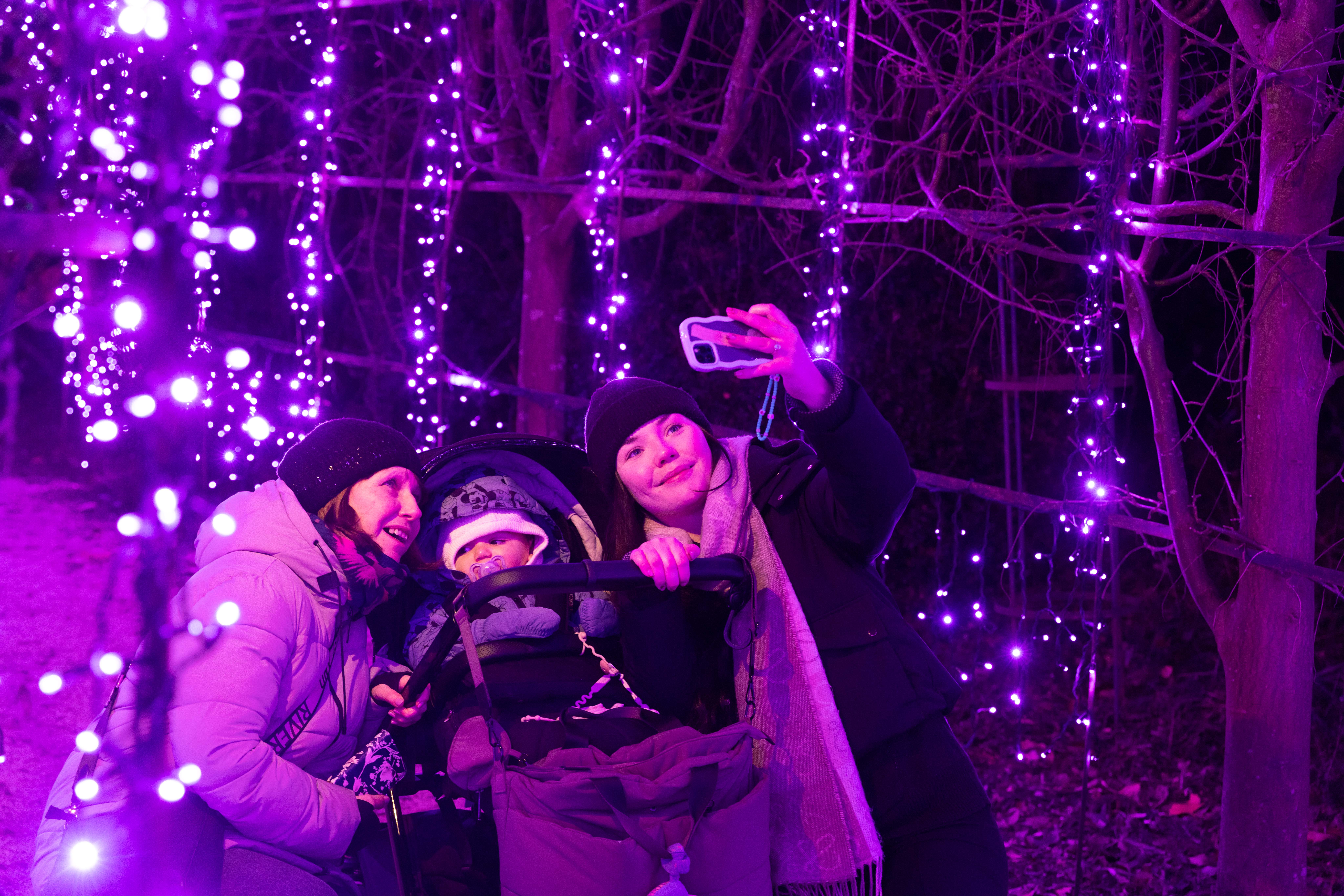 ✨️ Ashridge House Illuminated 2025  - Event Image 2 November 30, 2025 04:00 PM