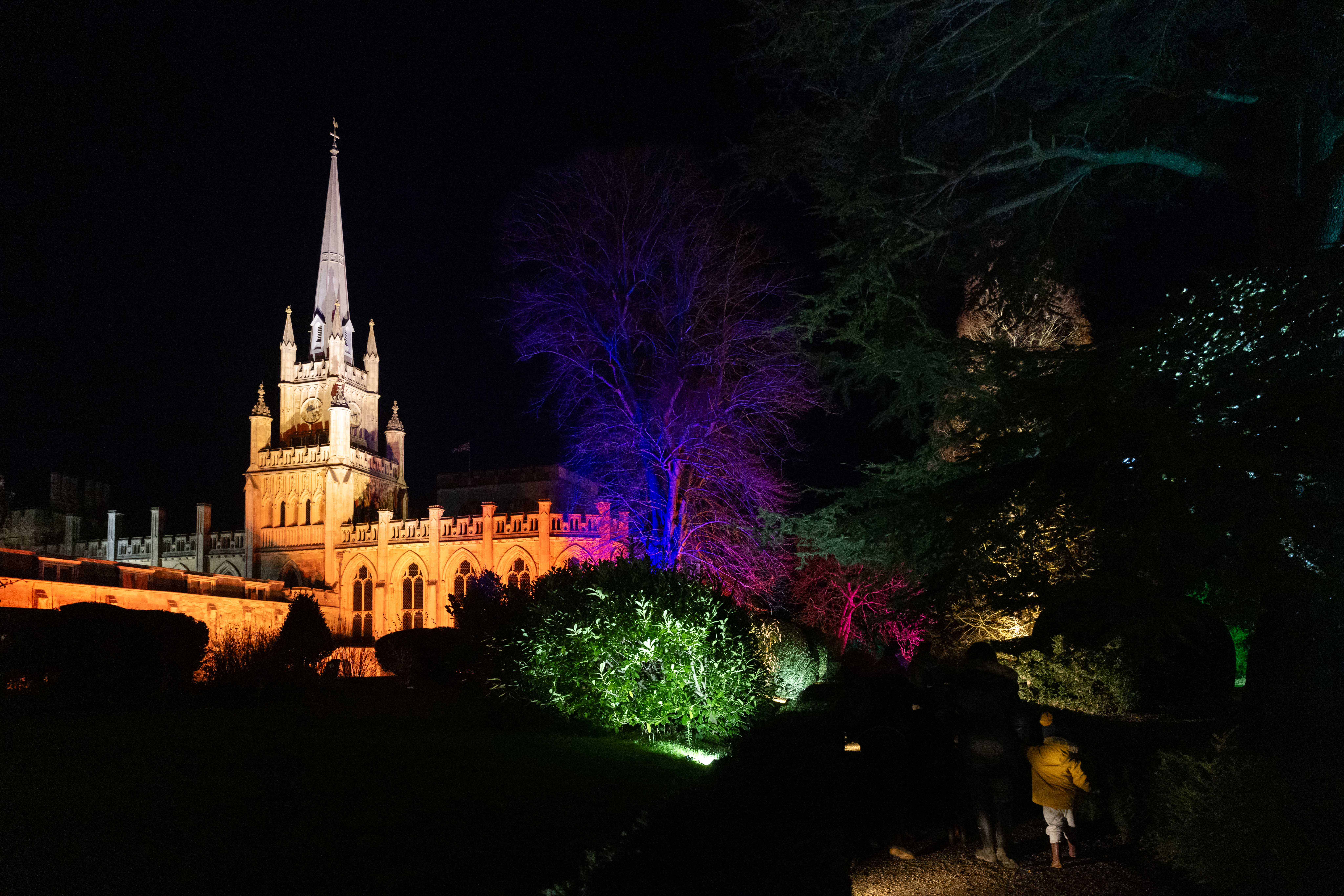 ✨️ Ashridge House Illuminated 2025  - Event Image 4 November 30, 2025 04:00 PM