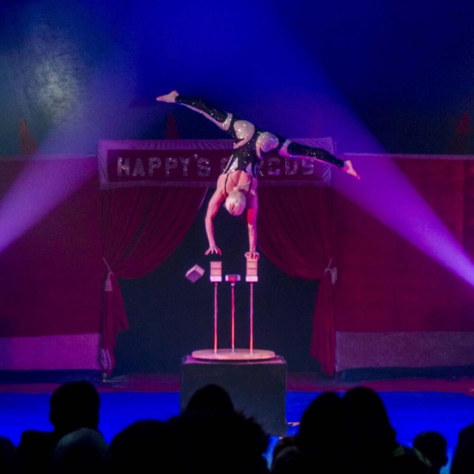 🎪 Happy's Circus Barton-Le-Clay at The Olde Watermill Shopping Village Mill Lane, Off Faldo Road, Barton-Le-Clay, Bedfordshire, MK45 4RF | Low Cost, Family, Fun, Kids, Circus, Entertainment, Ticket Event, Baby/Toddlers, Indoor, Attractions | Suitable for: Family, Toilets, Baby Changing, Children, Parking Onsite, Blue Badge Parking, Free Parking 🎪 Happy's Circus Barton-Le-Clay - Event Image 3 August 11, 2024