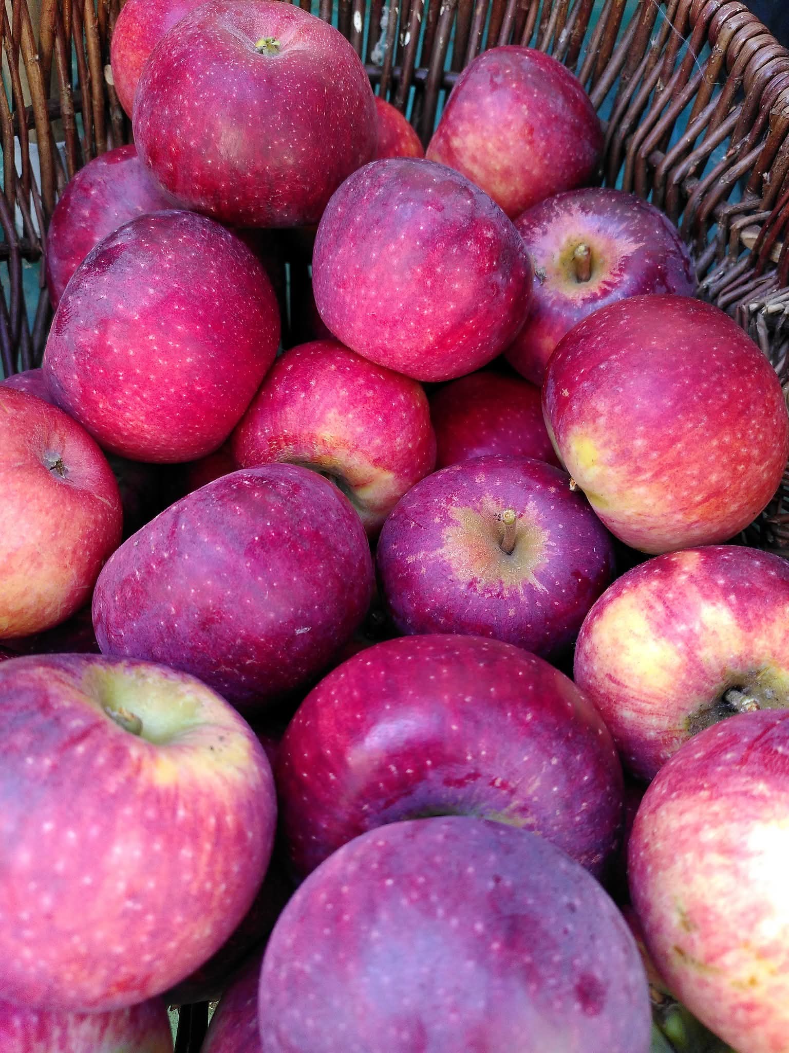 🍎 Potton Apple Day 2025 - St Mary's Hall at St Mary's Hall, Hatley Road, Potton, Sandy SG19 2RP
| Activities, Adults, Entertainment, Food/Drink, Free Entry, Kids, Music, Social | Suitable for: Children, Family 🍎 Potton Apple Day 2025 - St Mary's Hall - Event Image 2 September 28, 2025 12:00 PM