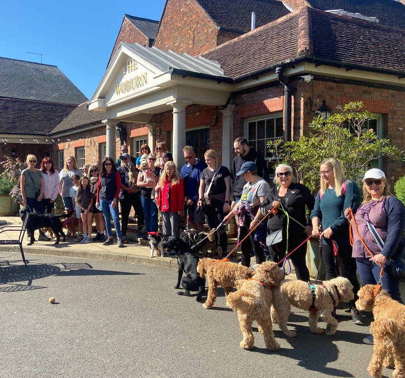 🐶 Dog Walk, November 2025 - The Woburn - November 22, 2025 09:30 AM at The Woburn, 1 George Street, Milton Keynes, England, MK17 9PX