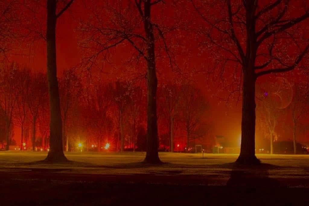 🎇 Fireworks at Billing Aquadrome 2025 - Northamptonshire at Billing Aquadrome, Crow Lane, Great Billing, Northampton, Northamptonshire, NN3 9DA | Adults, Advance Booking, Baby/Toddlers, Date Idea, Entertainment, Family, Fireworks, Fun, Kids, Low Cost, Music, Nightlife, Outdoor, Play Parks, Teens, Ticket Event, Walks, Water, Activities | Suitable for: Accessible, Baby Changing, Children, Family, Free Parking, Parking Onsite, Toilets, Wheelchair Friendly 🎇 Fireworks at Billing Aquadrome 2025 - Northamptonshire - Event Image 2 November 08, 2025 05:00 PM