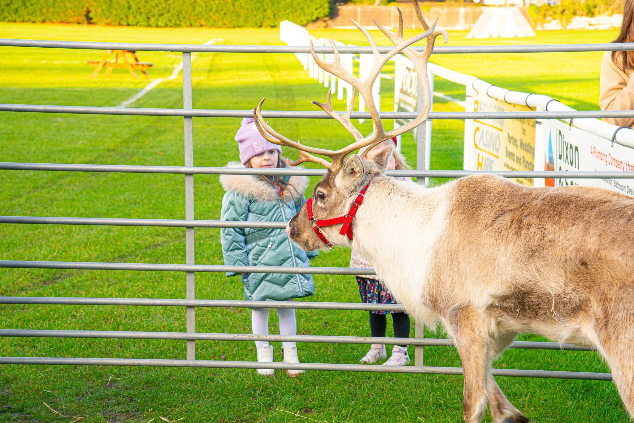 ✨️ Christmas Fete & Market 2025 - Oakley Sports & Social Club  - Event Image 2 December 13, 2025 12:30 PM