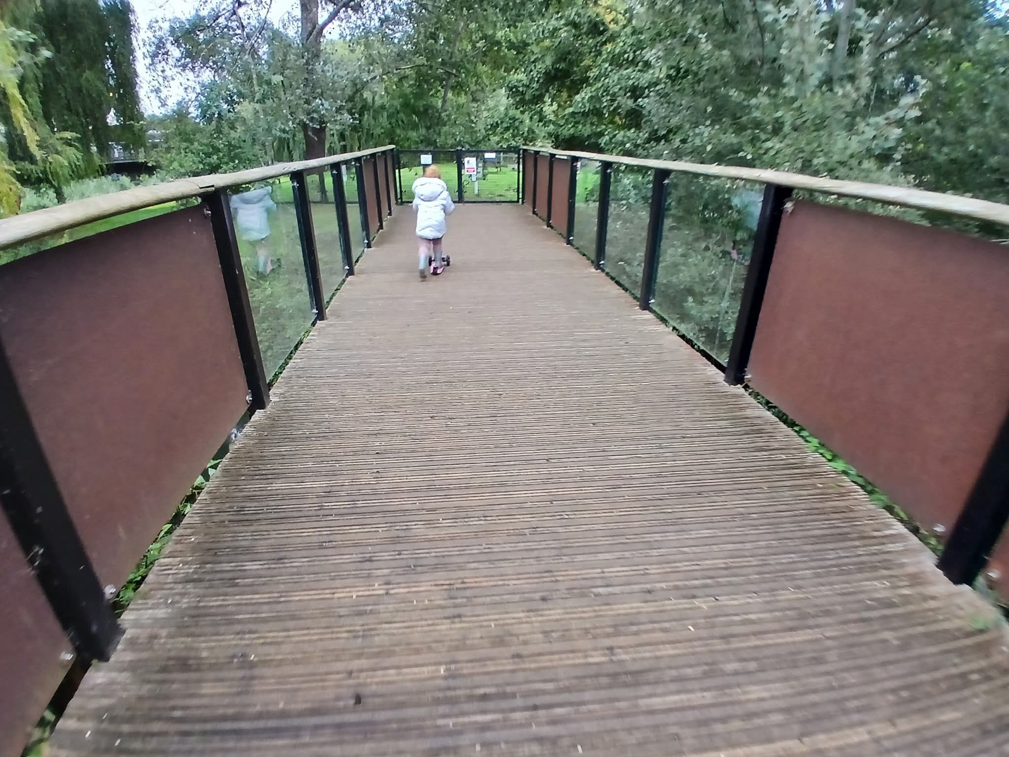 🧑‍🎄 12 Joy's of Christmas Trail 2025 - Jordans Mill, Broom - Event Image 4 January 03, 2026 09:30 AM