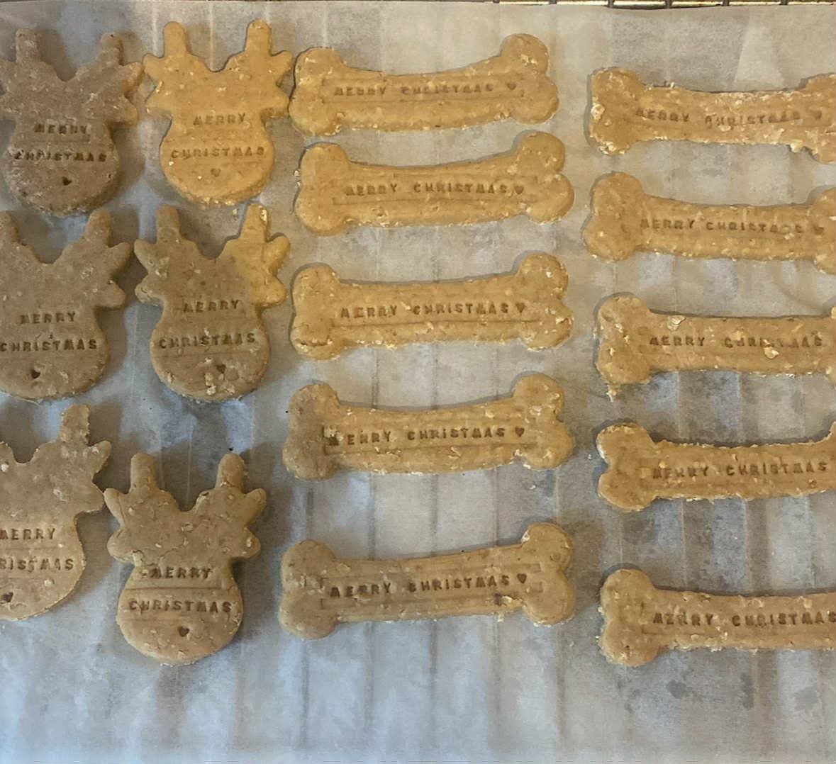 🎄 Lildlington Light Switch On 2025  - Event Image 7 November 29, 2025 03:00 PM