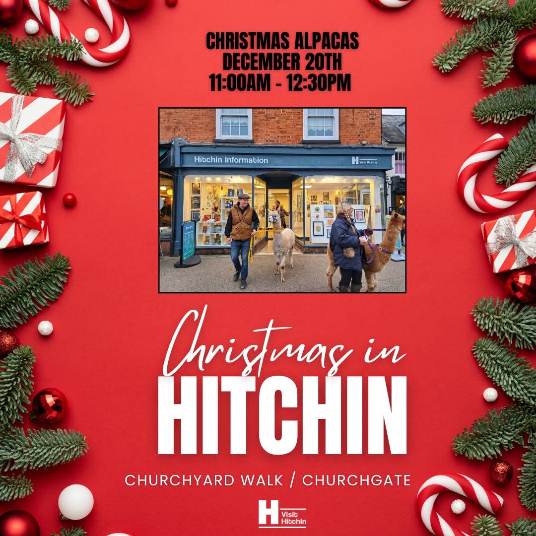 ☃️ Hitchin Festive Fun Day 2025  - Event Image 2 December 20, 2025 10:00 AM