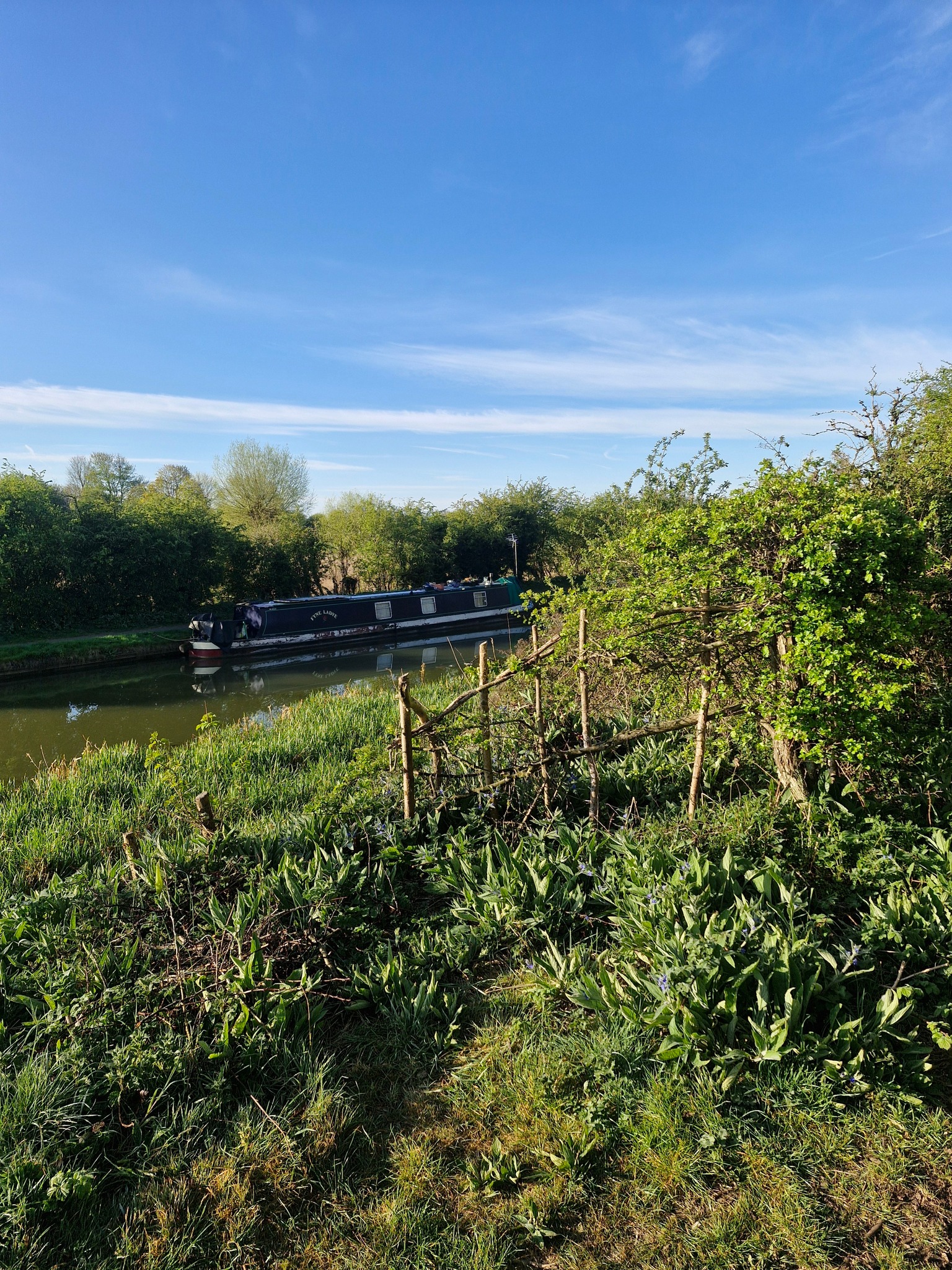 👩 Women's Wellness Walk and Talk January 2026 - Tiddenfoot Waterside Park - January 11, 2026 09:30 AM at Tiddenfoot Waterside Park, Mentmore Road, Leighton Buzzard, LU7 2AE