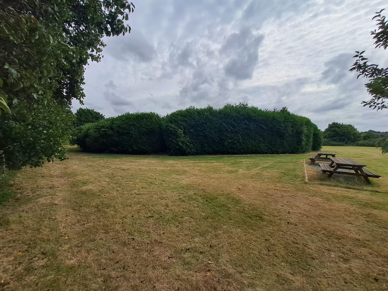 🌳 FREE ROXTON MAZE AT ROXTON GARDEN CENTRE at Roxton Garden Centre
Bedford Rd,
Roxton,
Bedford
MK44 3DY | Family, Food/Drink, Free, Fun, Kids, Outdoor, Teens | Suitable for: Children, Family, Free Parking, Parking Onsite, Toilets 🌳 FREE ROXTON MAZE AT ROXTON GARDEN CENTRE - Event Image 2 August 27, 2024 09:00 AM