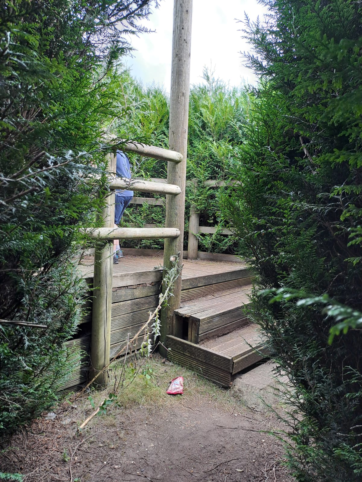 🌳 FREE ROXTON MAZE AT ROXTON GARDEN CENTRE at Roxton Garden Centre
Bedford Rd,
Roxton,
Bedford
MK44 3DY | Family, Food/Drink, Free, Fun, Kids, Outdoor, Teens | Suitable for: Children, Family, Free Parking, Parking Onsite, Toilets 🌳 FREE ROXTON MAZE AT ROXTON GARDEN CENTRE - Event Image 5 August 27, 2024 09:00 AM