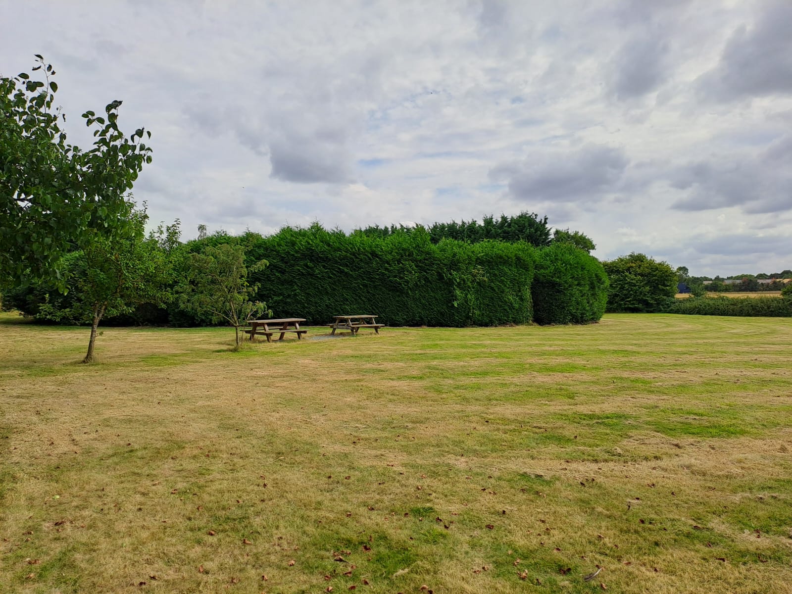 🌳 FREE ROXTON MAZE AT ROXTON GARDEN CENTRE at Roxton Garden Centre
Bedford Rd,
Roxton,
Bedford
MK44 3DY | Family, Food/Drink, Free, Fun, Kids, Outdoor, Teens | Suitable for: Children, Family, Free Parking, Parking Onsite, Toilets 🌳 FREE ROXTON MAZE AT ROXTON GARDEN CENTRE - Event Image 6 August 27, 2024 09:00 AM
