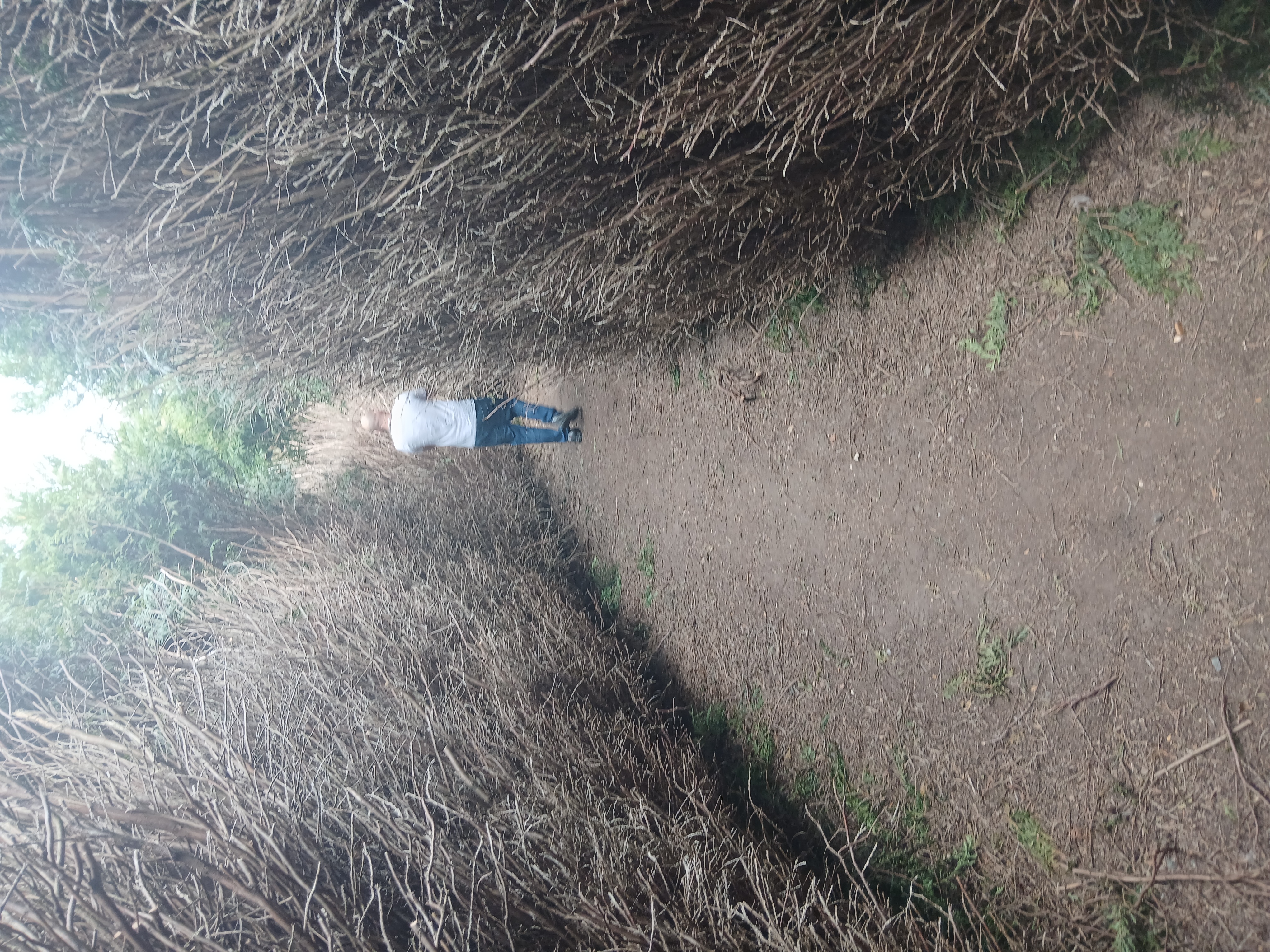 🌳 FREE ROXTON MAZE AT ROXTON GARDEN CENTRE at Roxton Garden Centre
Bedford Rd,
Roxton,
Bedford
MK44 3DY | Family, Food/Drink, Free, Fun, Kids, Outdoor, Teens | Suitable for: Children, Family, Free Parking, Parking Onsite, Toilets 🌳 FREE ROXTON MAZE AT ROXTON GARDEN CENTRE - Event Image 7 August 27, 2024 09:00 AM