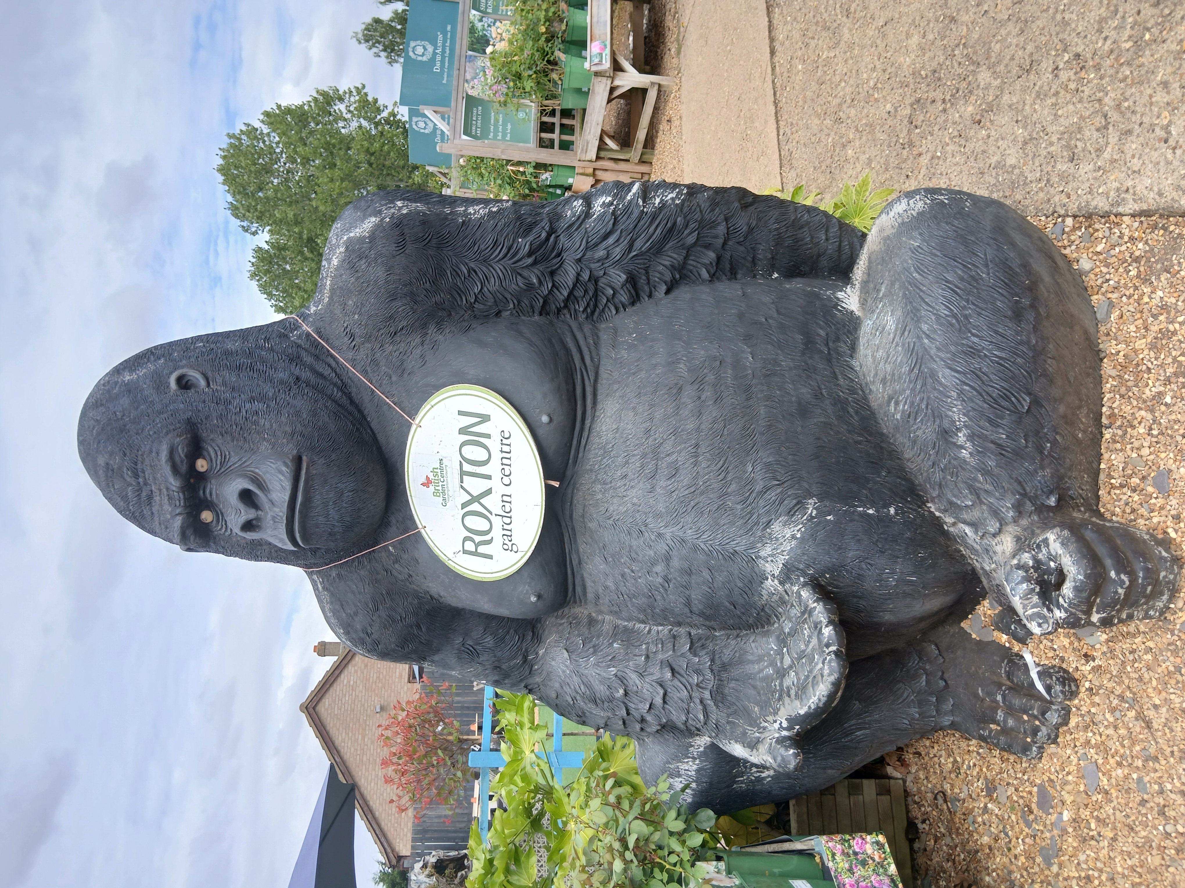 🌳 FREE ROXTON MAZE AT ROXTON GARDEN CENTRE at Roxton Garden Centre
Bedford Rd,
Roxton,
Bedford
MK44 3DY | Family, Food/Drink, Free, Fun, Kids, Outdoor, Teens | Suitable for: Children, Family, Free Parking, Parking Onsite, Toilets 🌳 FREE ROXTON MAZE AT ROXTON GARDEN CENTRE - Event Image 10 August 27, 2024 09:00 AM