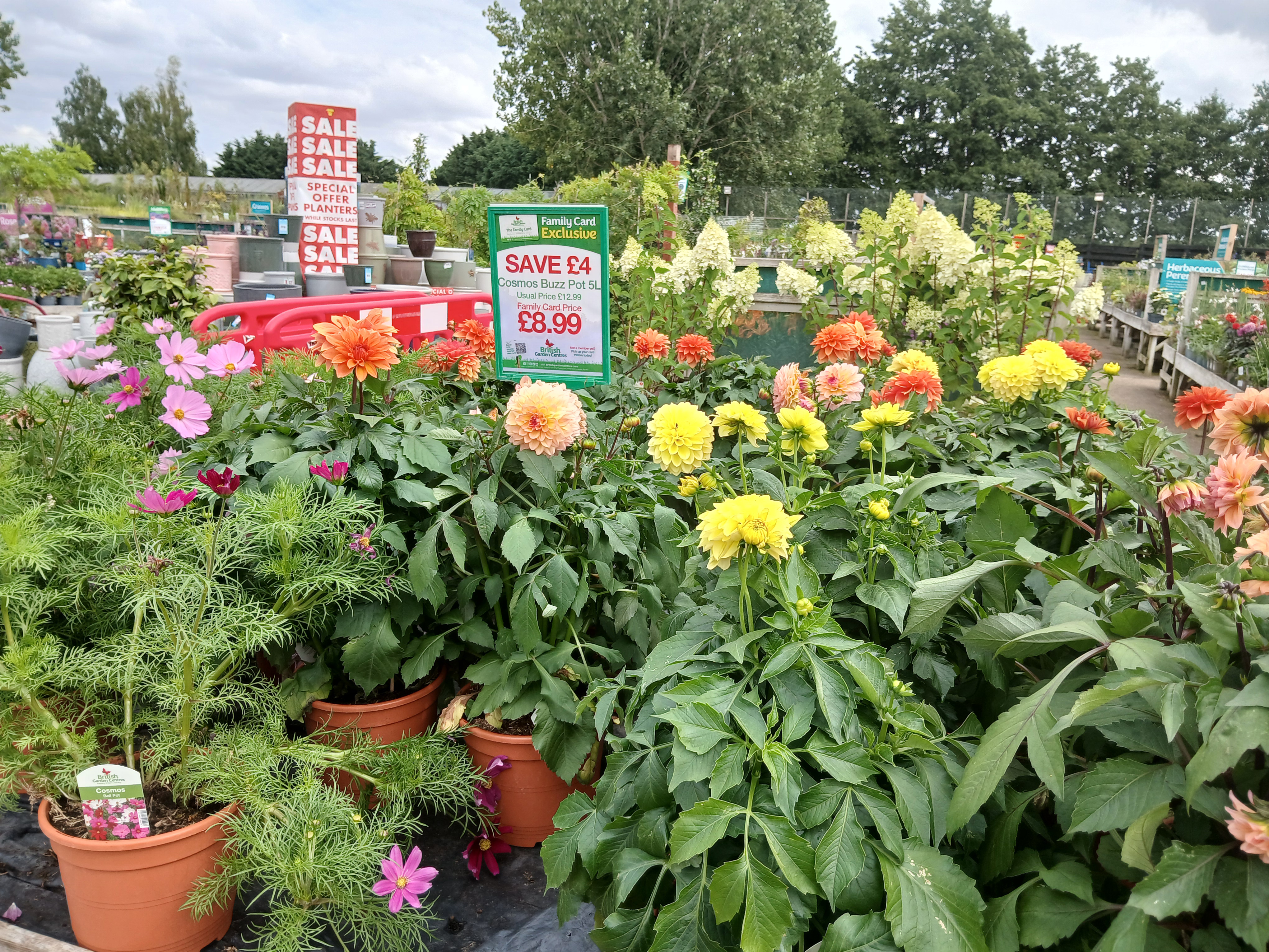 🌳 FREE ROXTON MAZE AT ROXTON GARDEN CENTRE at Roxton Garden Centre
Bedford Rd,
Roxton,
Bedford
MK44 3DY | Family, Food/Drink, Free, Fun, Kids, Outdoor, Teens | Suitable for: Children, Family, Free Parking, Parking Onsite, Toilets 🌳 FREE ROXTON MAZE AT ROXTON GARDEN CENTRE - Event Image 11 August 27, 2024 09:00 AM