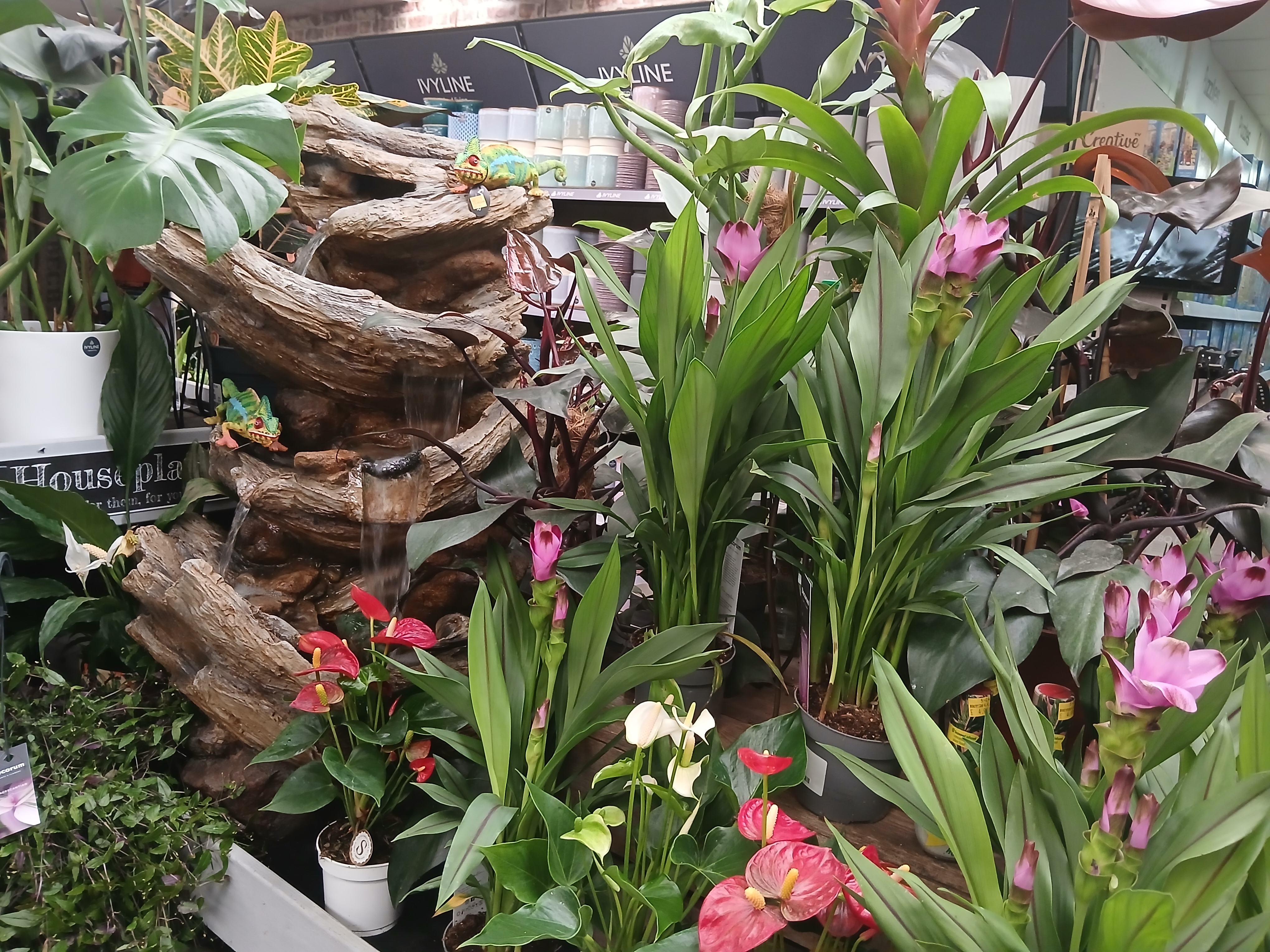 🌳 FREE ROXTON MAZE AT ROXTON GARDEN CENTRE at Roxton Garden Centre
Bedford Rd,
Roxton,
Bedford
MK44 3DY | Family, Food/Drink, Free, Fun, Kids, Outdoor, Teens | Suitable for: Children, Family, Free Parking, Parking Onsite, Toilets 🌳 FREE ROXTON MAZE AT ROXTON GARDEN CENTRE - Event Image 15 August 27, 2024 09:00 AM