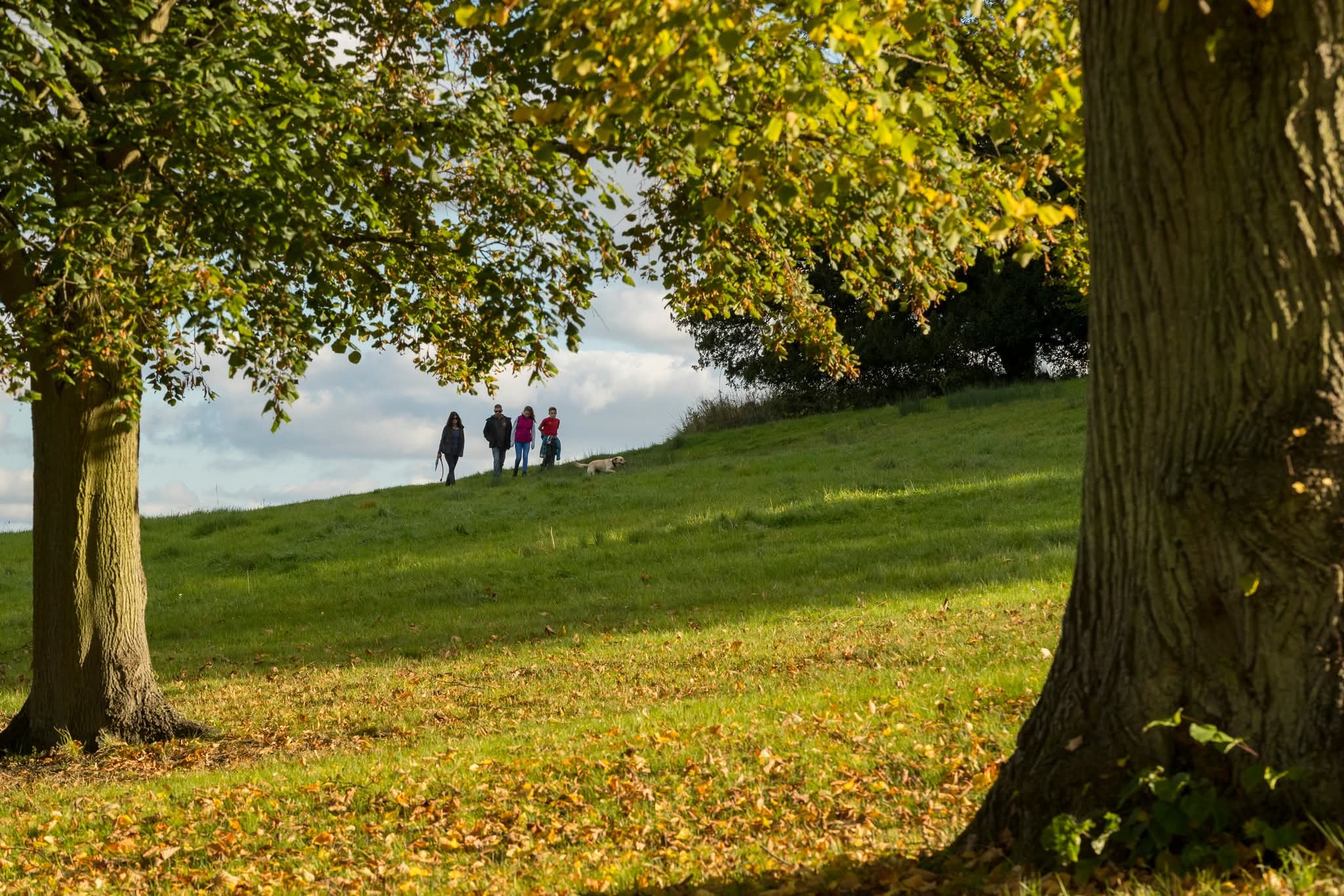 💥 Free Entry For All 2026 - Waddesdon Manor  - Event Image 4 January 17, 2026 10:00 AM