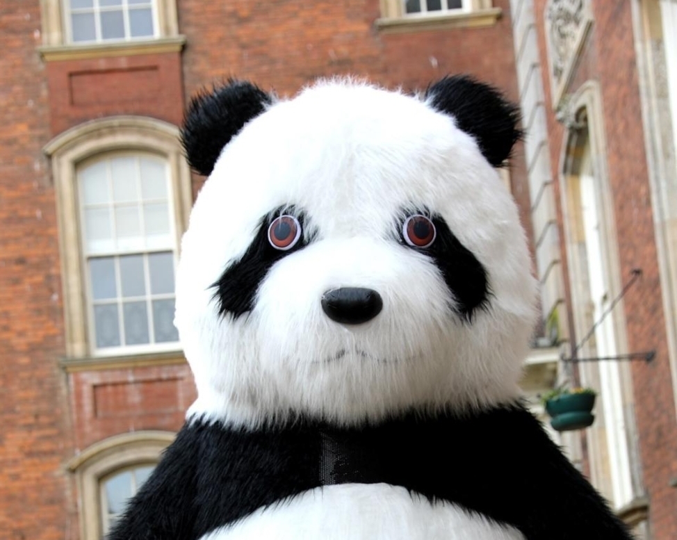 🎊 Lunar New Year 2026 - Bletchley  - Event Image 4 February 07, 2026 12:00 PM