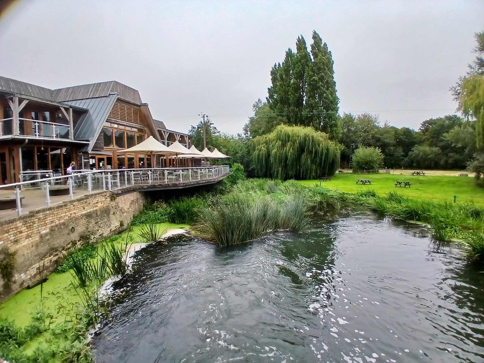 👩‍🌾 Farm to Fork Activitity Trail 2026 - Jordans Mill, Broom - Event Image 2 February 14, 2026 09:30 AM