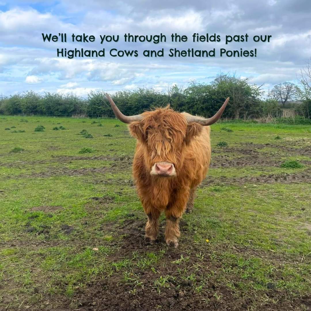 🐷 FREE ENTRY FARM - KNOTTS OF TEMPSFORD     - Event Image 6 October 10, 2024 09:00 AM