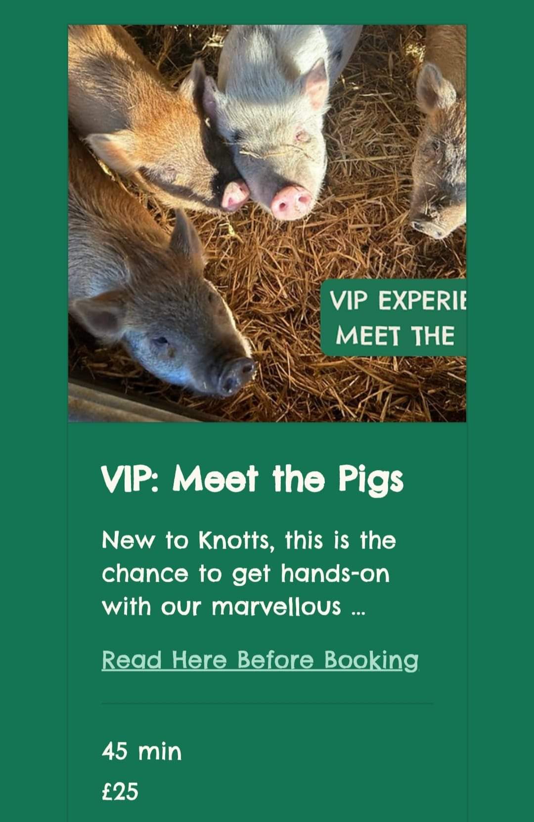 🐷 FREE ENTRY FARM - KNOTTS OF TEMPSFORD     - Event Image 10 October 10, 2024 09:00 AM