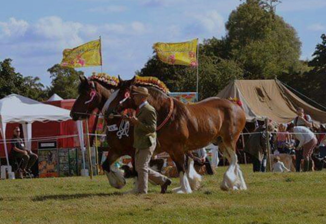 🐴The Herts and Essex Country Fair 2024 - Event Image 2 August 18, 2024 10:30 AM