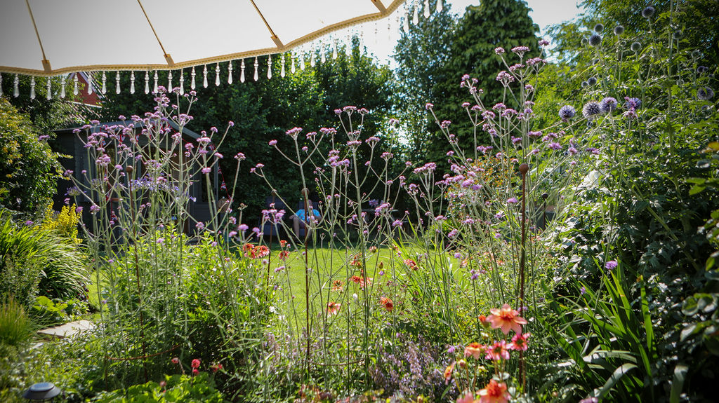 🌺 Moggerhanger Open Gardens 2026  - Event Image 2 May 30, 2026 12:00 PM