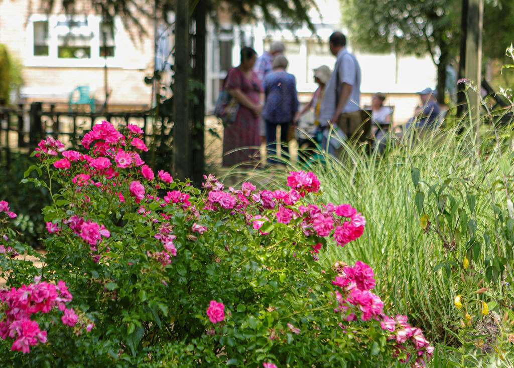 🌺 Moggerhanger Open Gardens 2026  - Event Image 3 May 30, 2026 12:00 PM