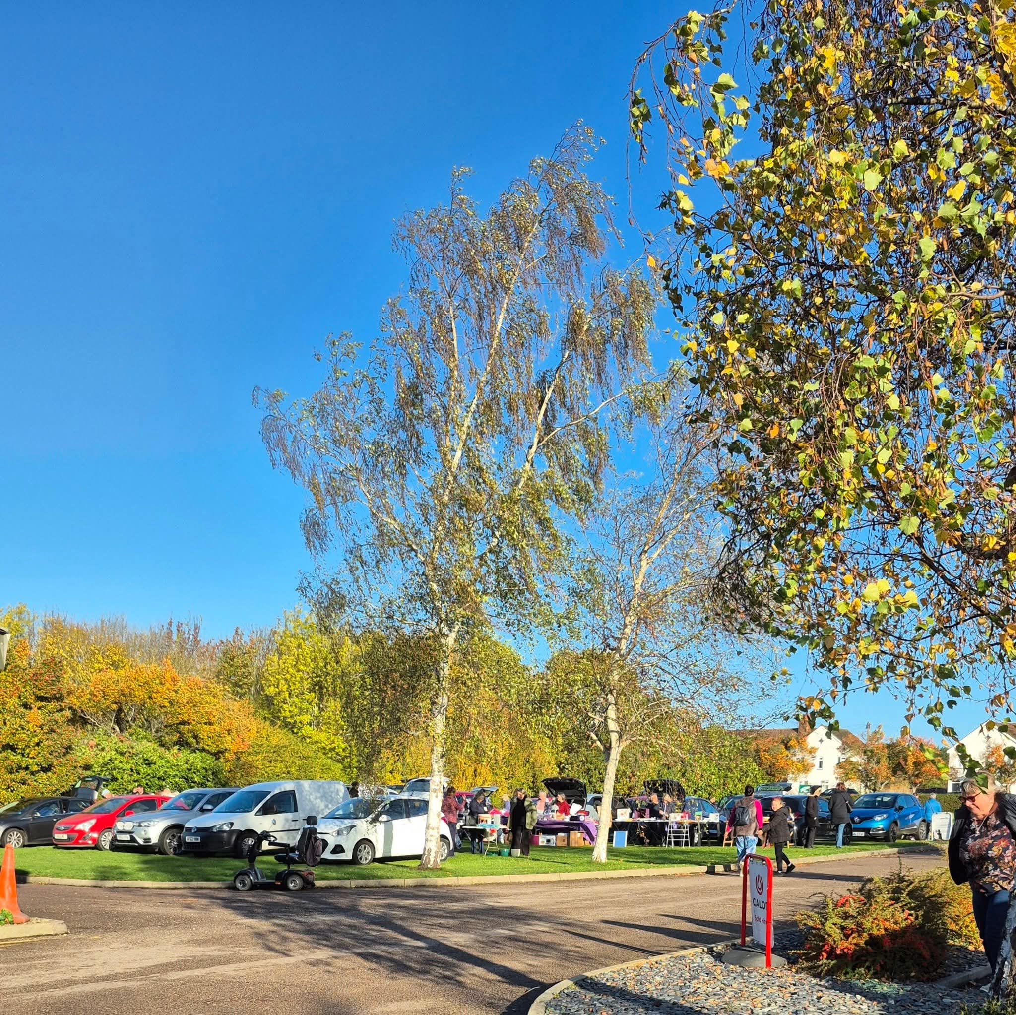 🚘 Car Boot Sale at Milton Ernest Garden Centre 2026 - Event Image 3 March 07, 2026 09:00 AM