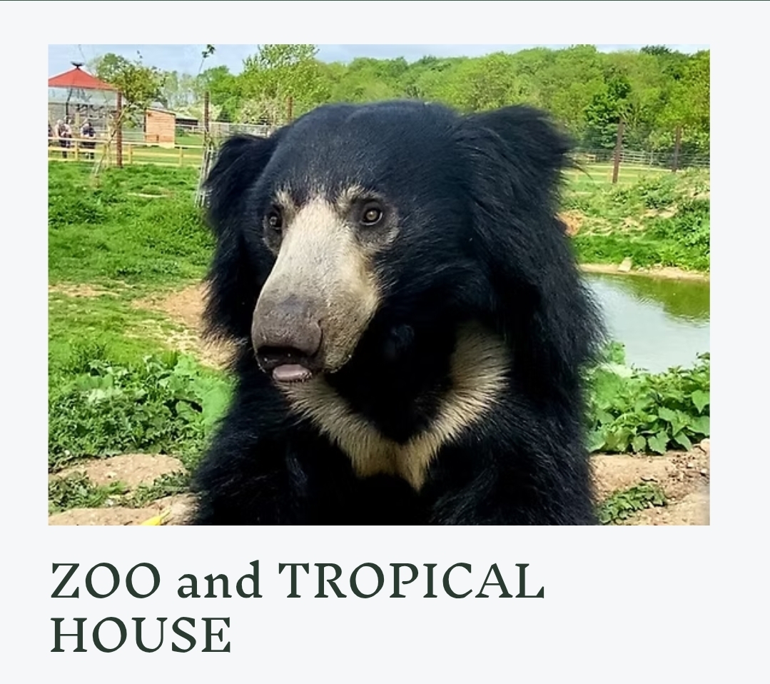 🐰 Easter at Johnsons of Old Hurst Zoo - 2026 - Event Image 2 April 12, 2026 10:00 AM