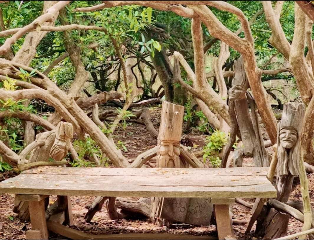 🐞Bug Lab at Rushmere, ages 5+ - Event Image 4 August 22, 2024 02:00 PM