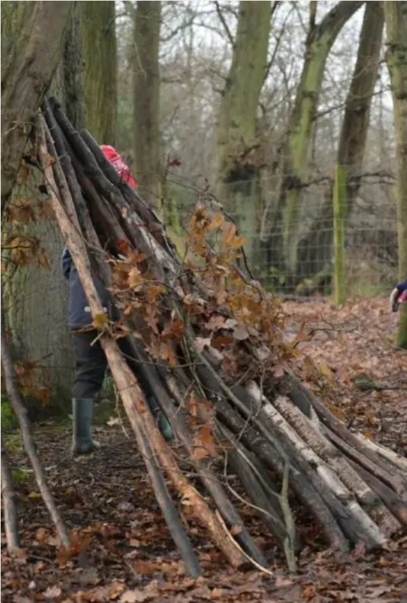 🌳 Faery Trail 2026 - Celtic Harmony Camp, Hertfordshire  - Event Image 3 April 11, 2026 10:30 AM