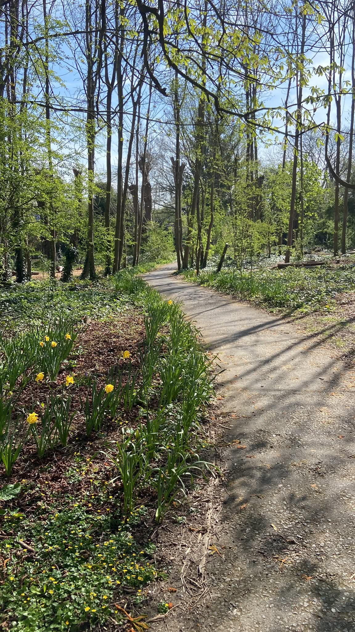 🌸 Emily’s Star Easter Egg Hunt 2026 - The Secret Garden, Milton Keynes - Event Image 2 April 03, 2026 09:30 AM