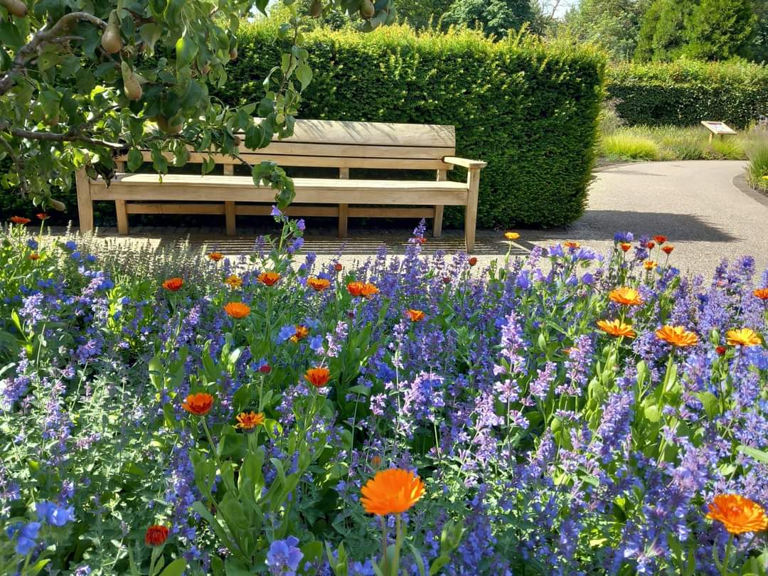 Summer Games Activity Trail at Jordans Mill
Southill Rd, Broom, Biggleswade SG18 9JX | Family, Food/Drink, Fun, Kids, Low Cost, Scenic, Sports | Suitable for: Accessible, Children, Family, Free Parking, Toilets Summer Games Activity Trail - Event Image 4 August 21, 2024 09:30 AM