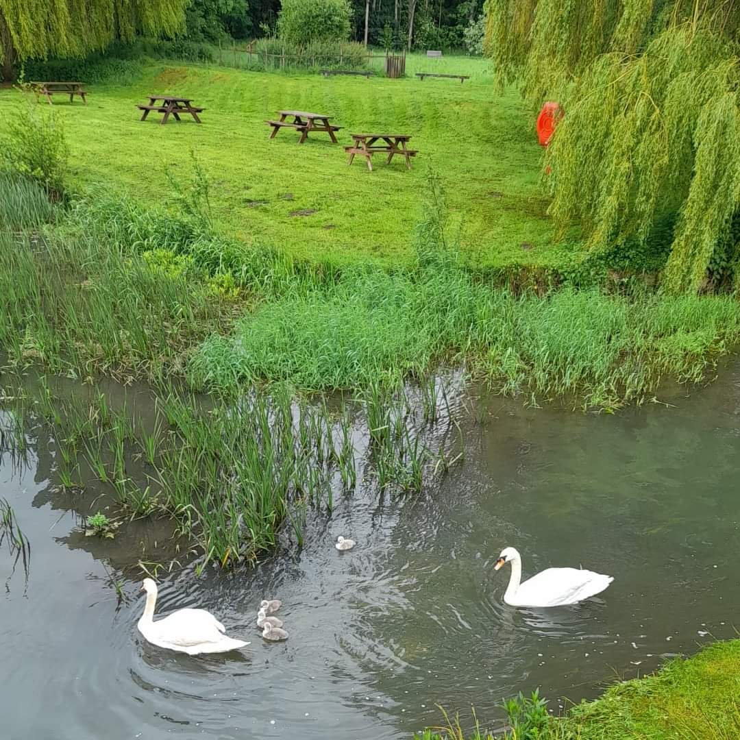 Summer Games Activity Trail at Jordans Mill
Southill Rd, Broom, Biggleswade SG18 9JX | Family, Food/Drink, Fun, Kids, Low Cost, Scenic, Sports | Suitable for: Accessible, Children, Family, Free Parking, Toilets Summer Games Activity Trail - Event Image 5 August 21, 2024 09:30 AM