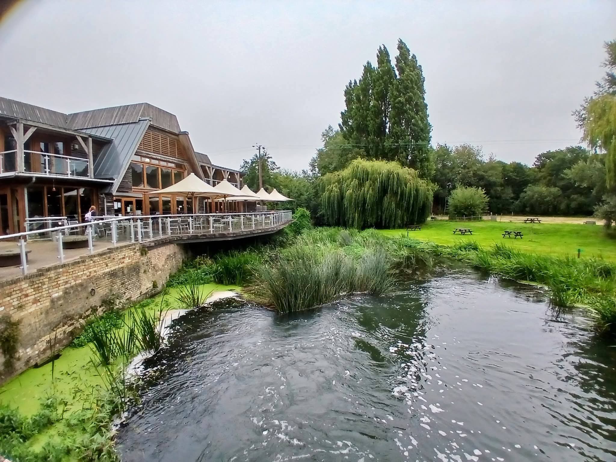 🌸 Boreettas Bear Easter Egg Hunt 2026 - Jordans Mill, Broom - Event Image 2 April 09, 2026 09:30 AM