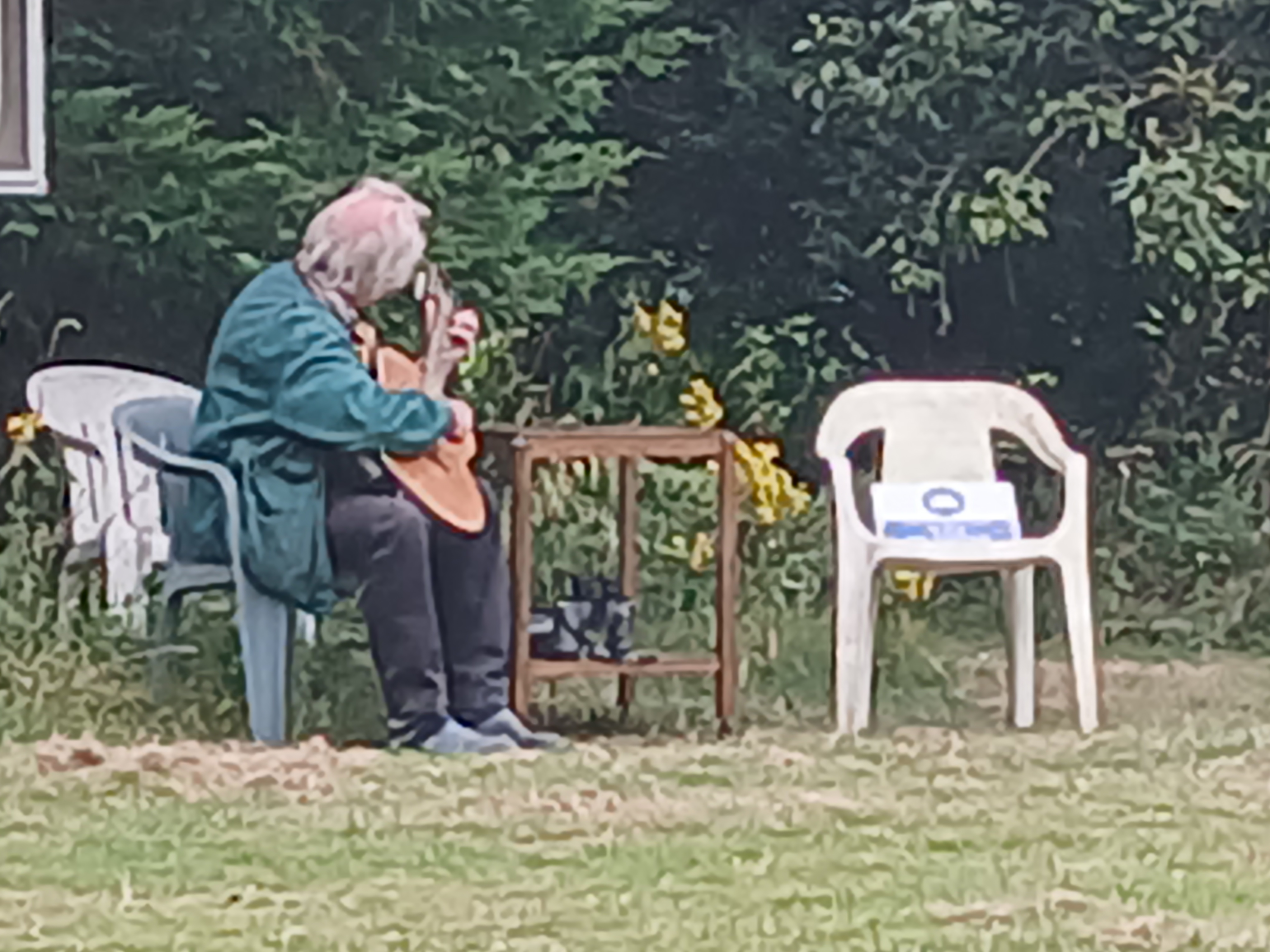 🌸THE MAZE SHEFFORD  - Event Image 12 August 26, 2024 02:00 PM